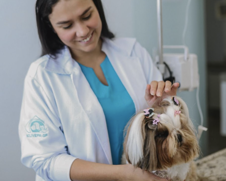 Consultoria em Internações Veterinárias - acompanhamento especializado durante internação